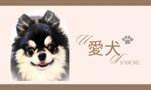 愛犬